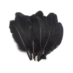Dekorative Gansfedern, Länge 15-21 cm (Pack 5 Stück) - Schwarz