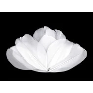 Dekorative Gansfedern, Länge 5-7 cm (Pack 10 Stück) - Weiß