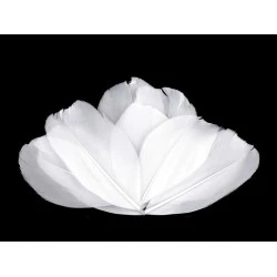 Dekorative Gansfedern, Länge 5-7 cm (Pack 10 Stück) - Weiß