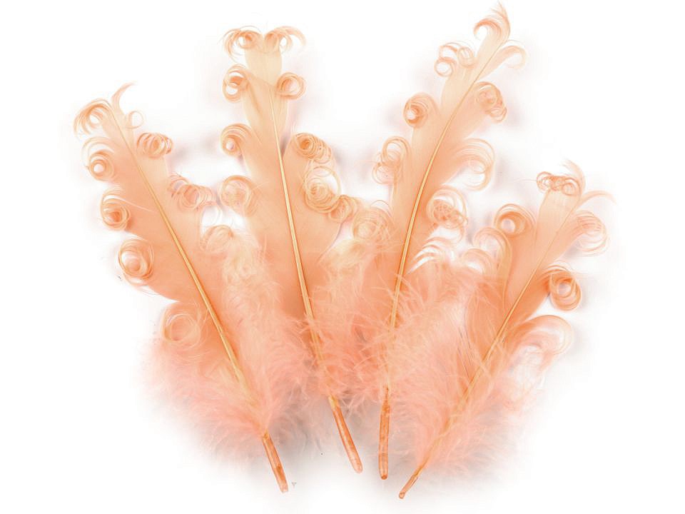 Feder-Blutkarzchen, Länge 12-18 cm (4-teiliges Paket) - Offene Lachsrosa Feder-Blutkarzchen, Länge 12-18 cm (4-teiliges Paket) - Offene Lachsrosa