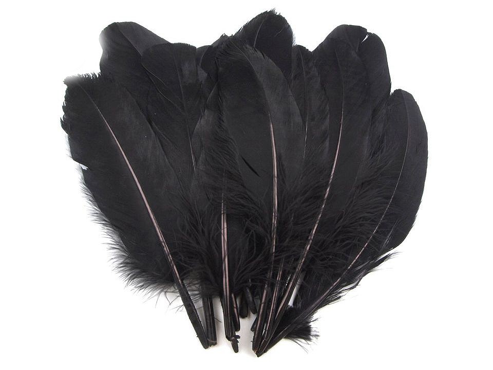 Dekorative Gansfedern, Länge 15-21 cm (Pack 5 Stück) - Schwarz Dekorative Gansfedern, Länge 15-21 cm (Pack 5 Stück) - Schwarz